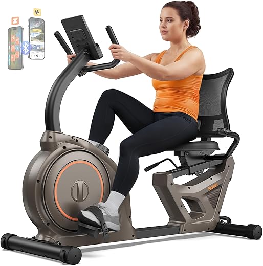 Niceday Recumbent Exercise Bike, Recumbent Bike for Home, Recumbent Stationary Bike 400LBS Weight Capacity, Magnetic Recumbent Bike with Smart APP, LCD Monitor, Heart Rate Handle